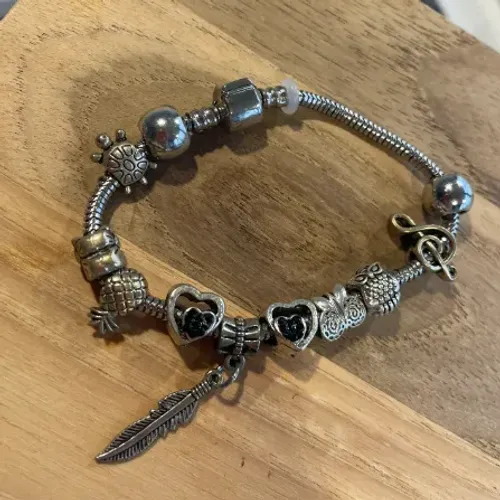 Pulseira com Pingentes - Bijuteria Feminina - R$ 39 (negociável)