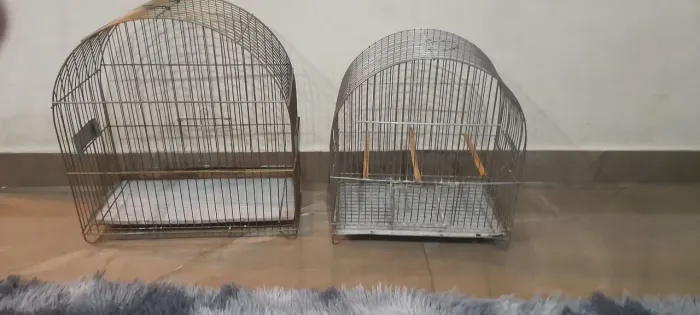 Gaiolas para pássaros - NEGOCIO 