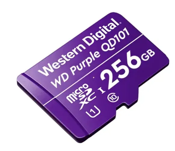 CARTAO MICRO SD 256GB 128TBW P/SEG ELETR