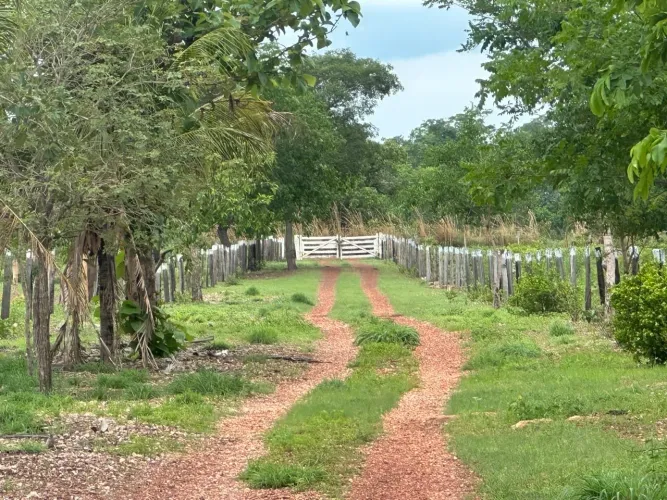 Sítio de 20.6 hectares, em Nossa Senhora do Livramento/MT