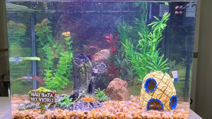 VENDO AQUÁRIO DE 70 LITROS