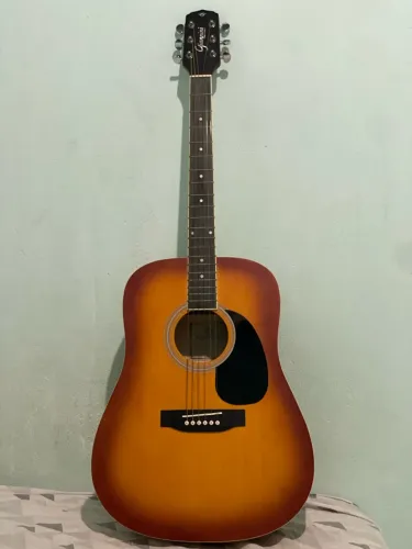 VIOLÃO PROFISSIONAL GIANNINI