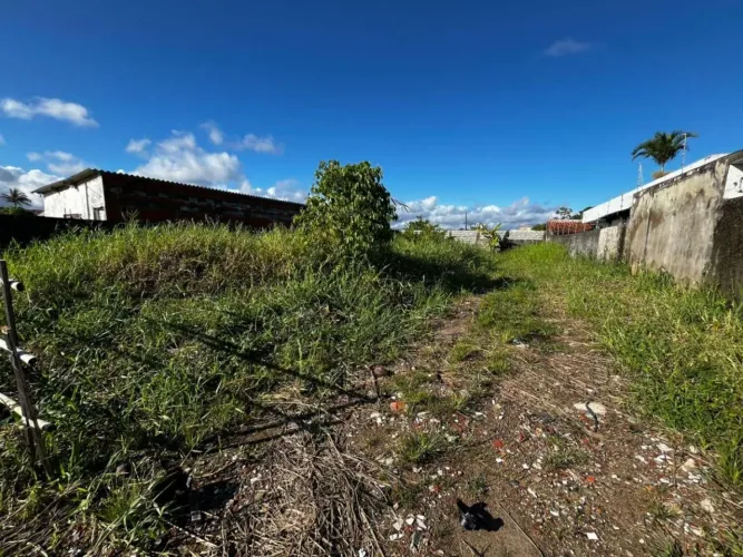 Terreno para Venda em Itanhaém, Grandesp