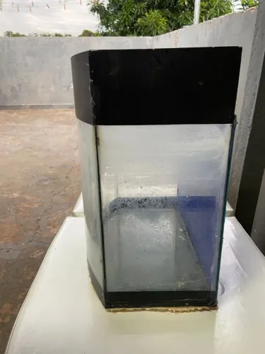 Aquário Curvo de Vidro - Compacto para Peixes ou Decoração