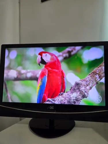 Monitor AOC 60Hz
