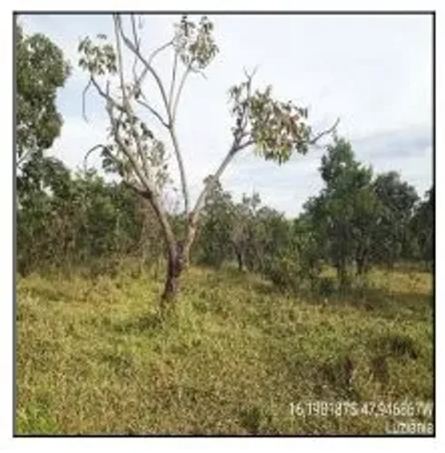 Imóvel bem posicionado Terreno no Parque Alvorada Ii, Luziania - GO, N. SN QD 267 | Venda