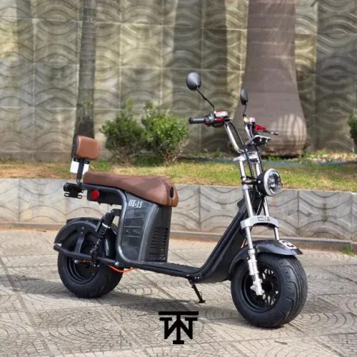 HE-15 1000W SCOOTER