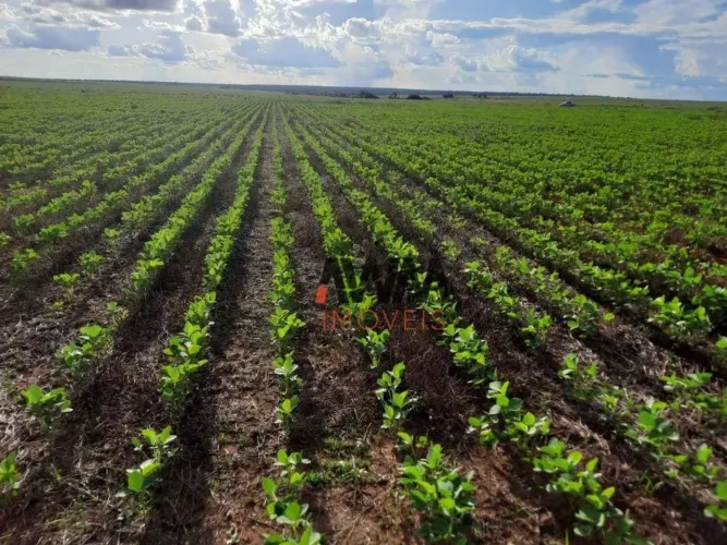 Fazenda à venda, 150000000 m² por R$ 750.000.000,00 - Centro - São José do Xingu/MT
