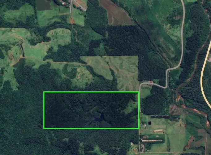 Oportunidade em Treviso - 30 hectares com eucalipto, açude e rio
