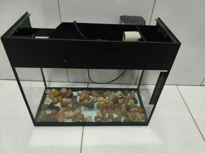 Vendo Aquário R$100