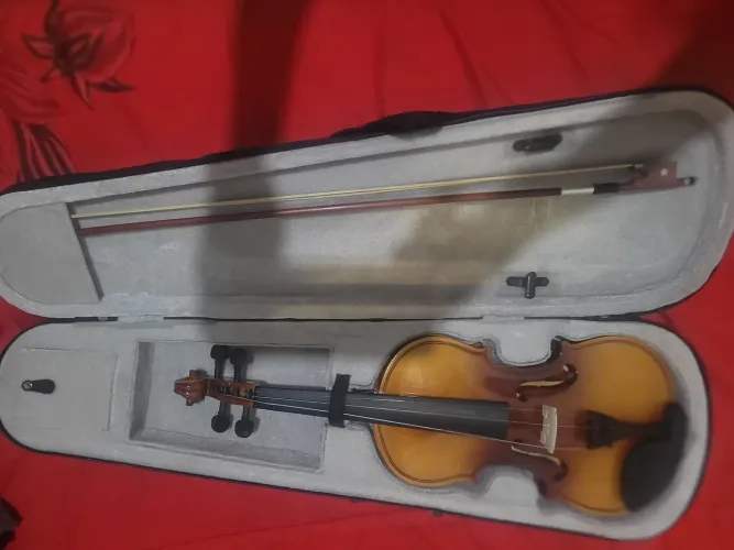 Violino
