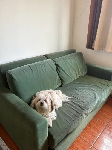 Sofá-Cama confortável