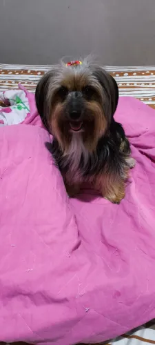 Procura-se Namorado para Jully
