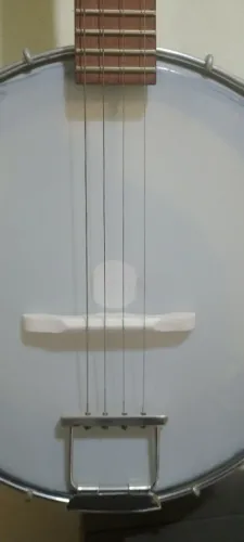 Banjo luthier 