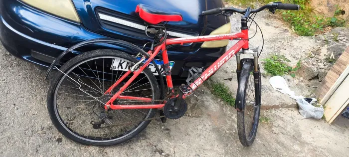 Bicicleta 