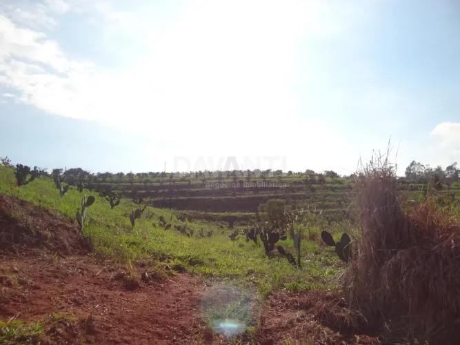 área - Fazenda C Barreiro - Louveira