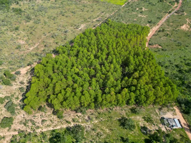 Terreno Três Marias com 30.000,00 metros quadrados