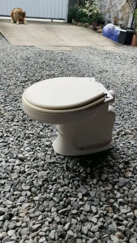 Vaso Sanitario