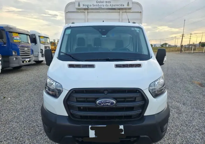 Ford transit boiadeira