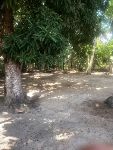 Vende-se um sítio com duas casas!