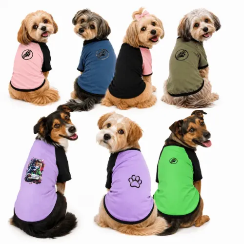 Roupa Pet de Malha Kit com 6 Unidades Atacado Revenda Lote