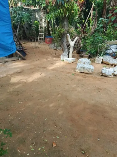 Faço limpeza de quintal, sítios 