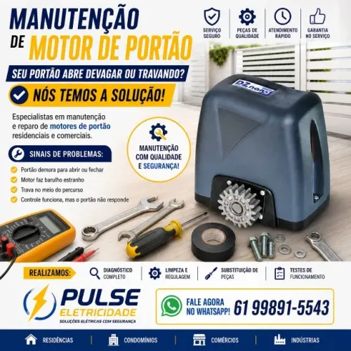 Manutençao Motor de Portao