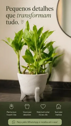 Comigo ninguém pode vaso cimento branco