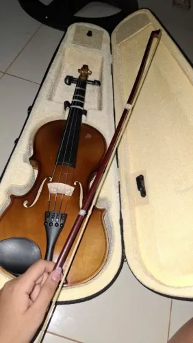 Violino