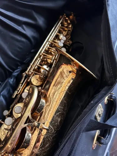 Saxofone Dolphin Mib