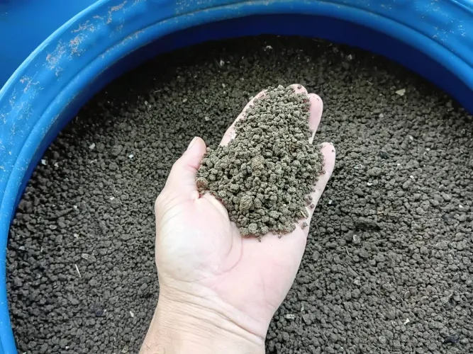 Esterco puro de galinha em Bombona de 200 litros