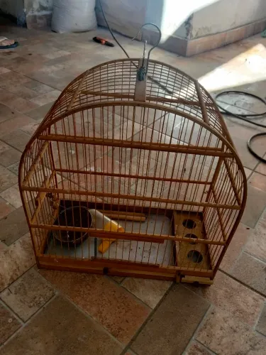 Gaiolas em bom estado 