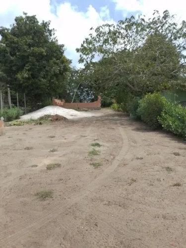 Vendo área em Trancoso 