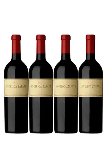 Vinho Angélica Zapata Malbec 