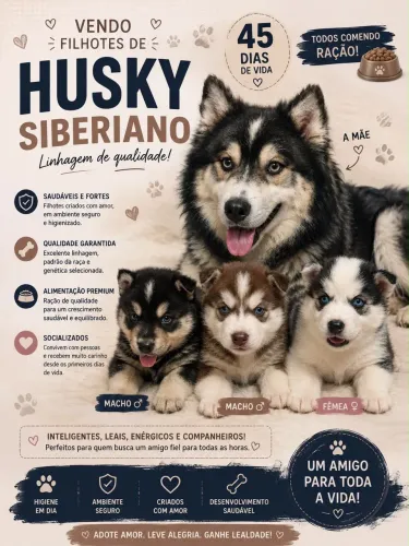 Cachorro husky siberiano