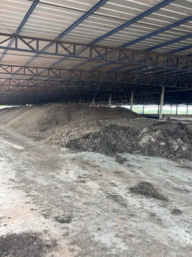 Esterco de galinha orgânico