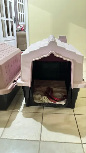 Casinhas de cachorro