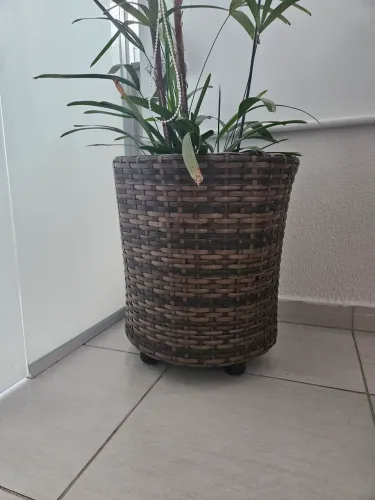 Cacheco de junco com rodinhas
