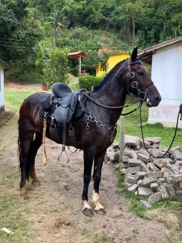 Égua