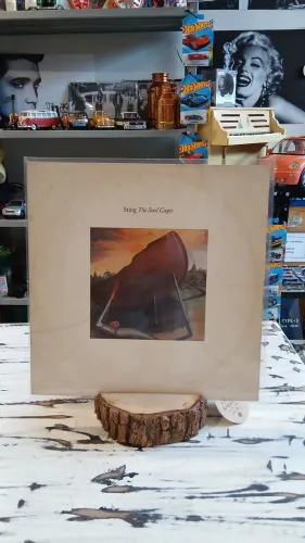 Disco de vinil álbum"The Soul Cages" do Sting. Lançado em 1991