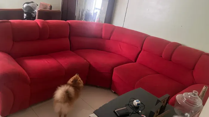 Sofá e mesa