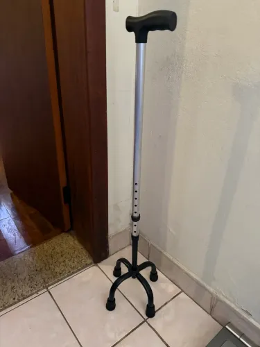 Bengala 4 pés