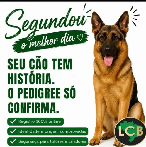 Peça já o Pedigree do seu cão de Raça