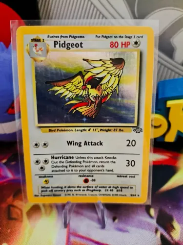 Pidgeot Holo Rara Jungle 1999 - Carta Pokémon TCG Vintage