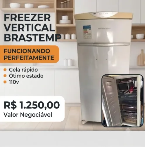 Freezer Vertical