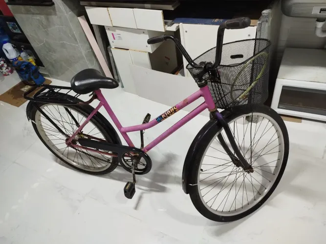 Bicicleta