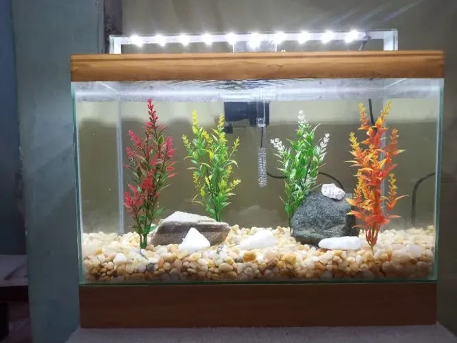 Lindo Aquário Novo e Completo + Brinde