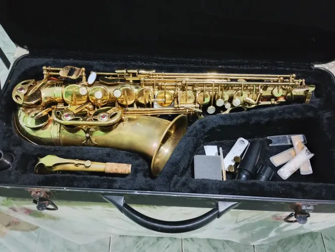 Sax alto Dolphin Eb