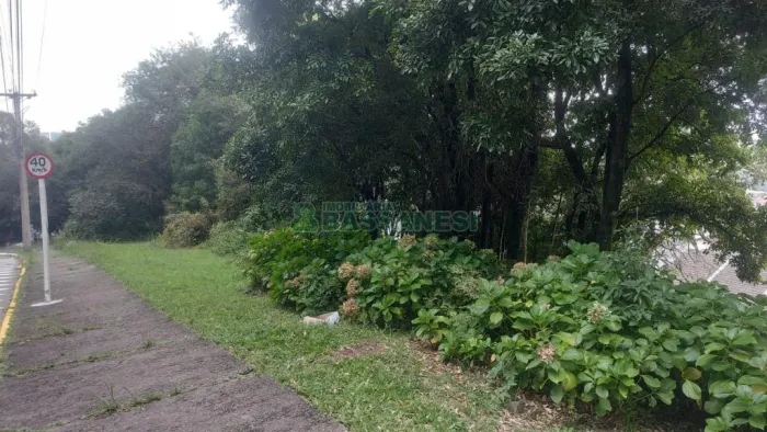 Terreno Santa Catarina Caxias do Sul