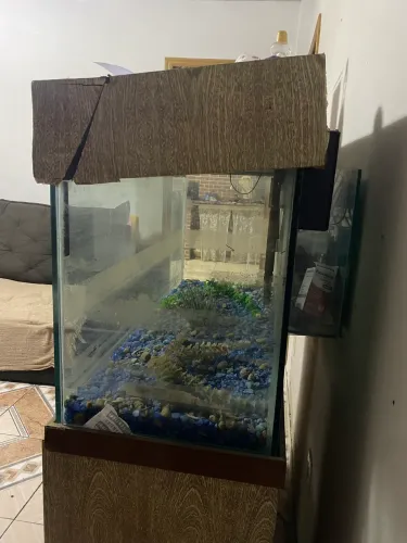 Vendo aquário com móvel 